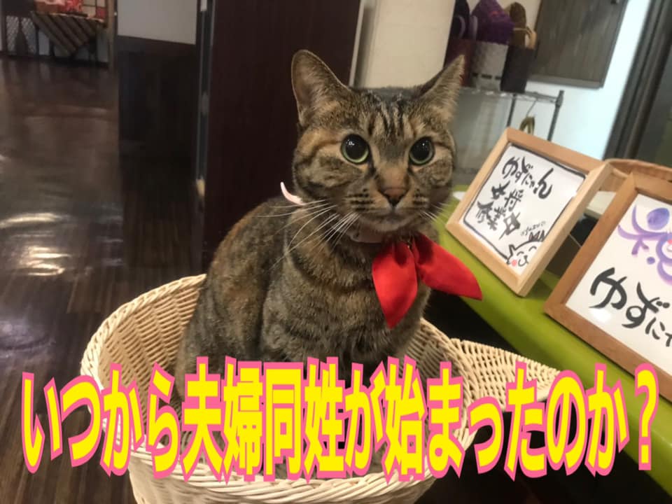 いつから夫婦は同じ姓を使うようになったのか ステップ行政書士法人