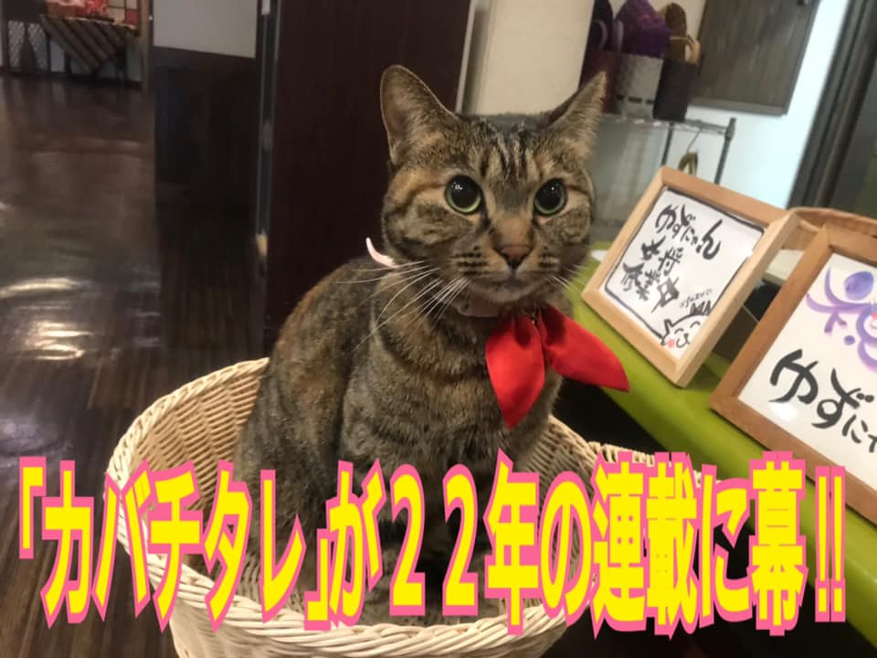 カバチタレが２２年の連載に幕 ステップ行政書士法人