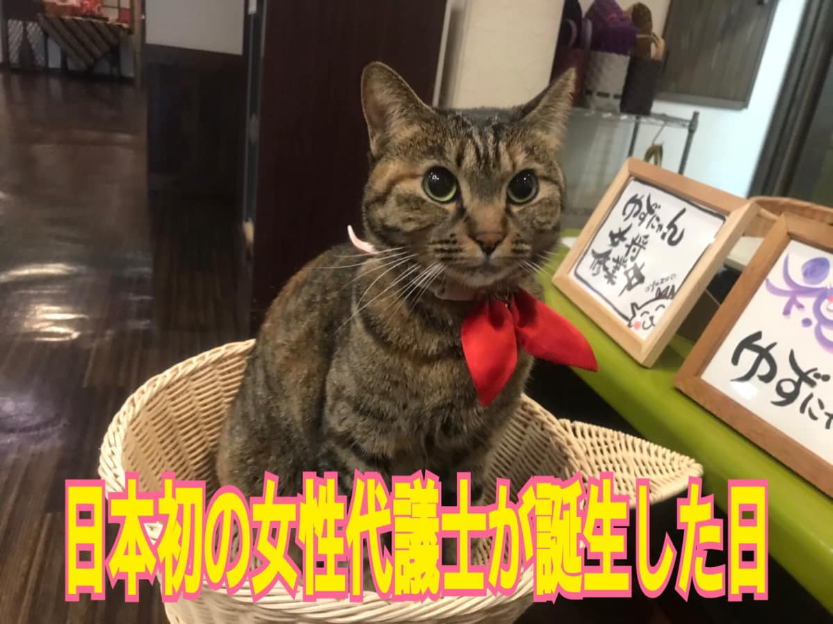 日本初の女性代議士が誕生した日 ステップ行政書士法人